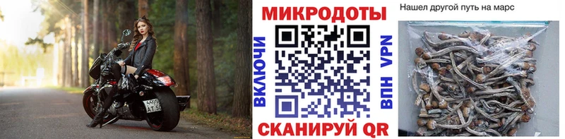 Купить  Шахты  Галлюциногенные грибы Magic Shrooms 